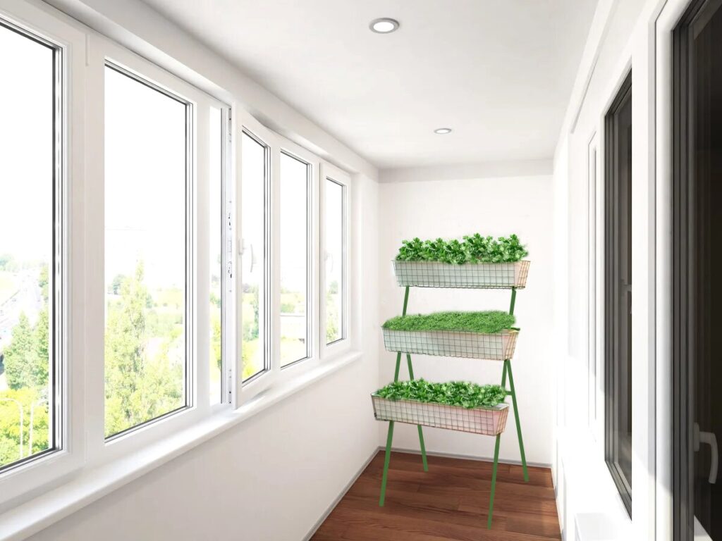 как вырастить зелень на балконе