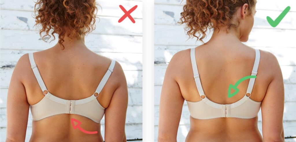 как правильно подобрать бюстгальтер
