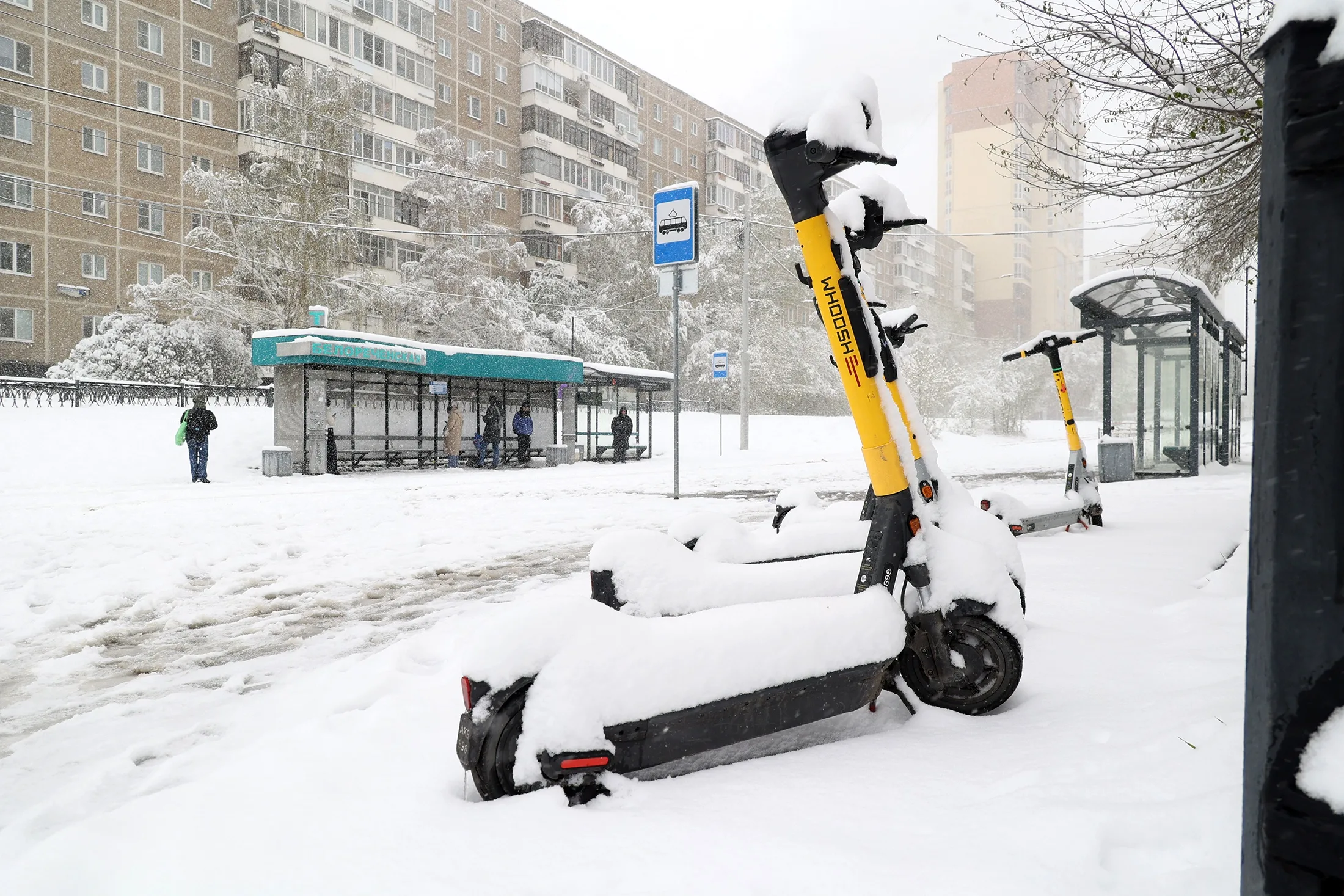 снег во сне