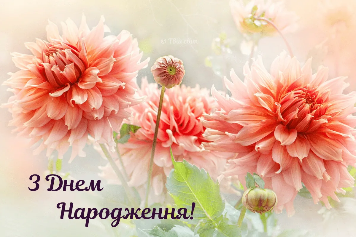 з днем народження жінці квіти