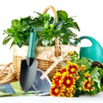 как выбрать товары для сада и дома